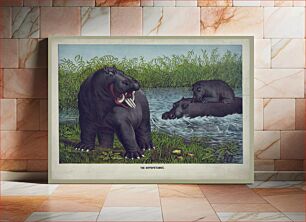 Πίνακας, The hippototamus