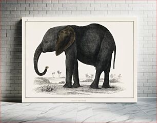 Πίνακας, The History of the Earth and Animated Nature (1848) by Oliver Goldsmith (1728-1774), a portrait of a dark grey elephant