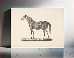 Πίνακας, The horse D by Christian David Gebauer