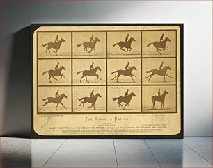 Πίνακας, The horse in motion (ca.1878) by Eadweard Muybridge