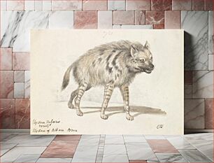 Πίνακας, The Hyena of Albara by Charles Hamilton Smith