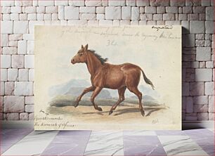 Πίνακας, The Koomrah Horse by Charles Hamilton Smith