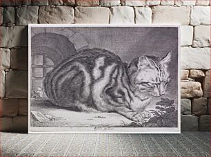 Πίνακας, The Large Cat