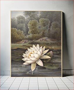Πίνακας, The lily pond by Olive E. Whitney