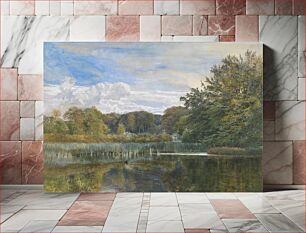 Πίνακας, The Mill Pond, Evelyn Woods
