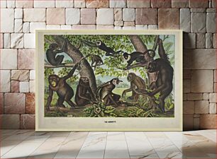 Πίνακας, The monkeys