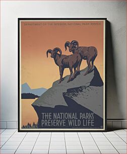 Πίνακας, The national parks preserve wild life