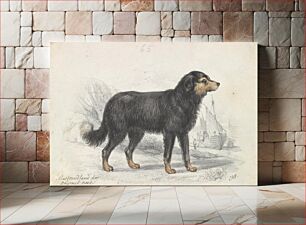 Πίνακας, The Newfoundland Dog,