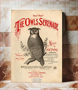 Πίνακας, "The Owls Serenade", 1894 sheet music cover. Sheet music published by Petrie Music Co, Chicago