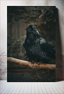 Πίνακας, The Raven's Gaze Το βλέμμα του κορακιού