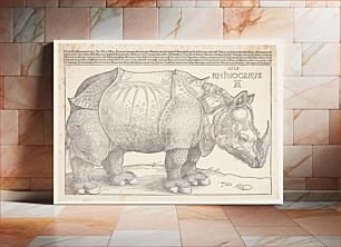 Πίνακας, The rhinoceros by Albrecht Dürer