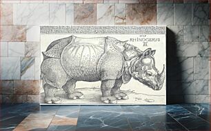 Πίνακας, The Rhinoceros