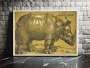 Πίνακας, The Rhinoceros