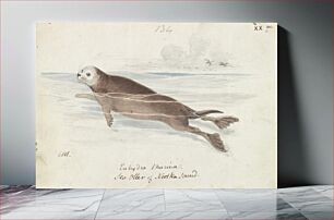 Πίνακας, The Sea Otter by Charles Hamilton Smith