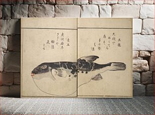 Πίνακας, The Servants of the Dragon King of the Sea: Fish and Shells