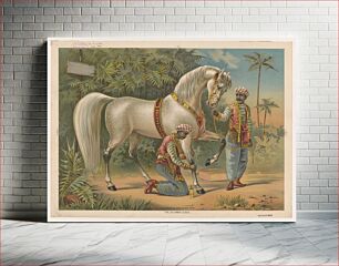 Πίνακας, The Sultan's steed