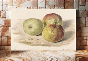 Πίνακας, The Summer Lodden, Sept. 1832: A Still Life Study of Three Apples