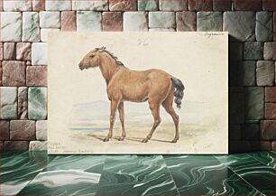 Πίνακας, The Tarpan. Wild Horse. Native to Russia by Charles Hamilton Smith