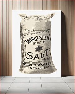 Πίνακας, The Worcester brand salt (1890)