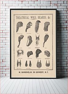 Πίνακας, Theatrical wigs, beards, &c. M. Shindhelm, 100 Bowery, N.Y. / / The Graphic Co. photo-lith