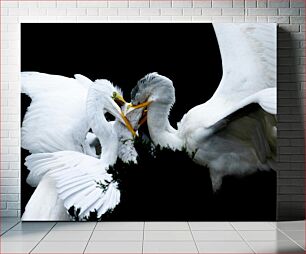 Πίνακας, Three Birds Interaction Αλληλεπίδραση Τριών Πουλιών