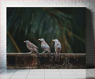 Πίνακας, Three Birds on a Wall Τρία πουλιά σε έναν τοίχο