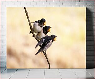 Πίνακας, Three Birds Perched on a Branch Τρία πουλιά σκαρφαλωμένα σε ένα κλαδί