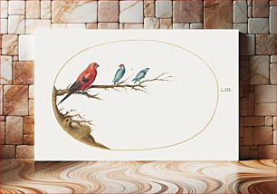 Πίνακας, Three Brightly Colored Birds (1575–1580) by Joris Hoefnagel