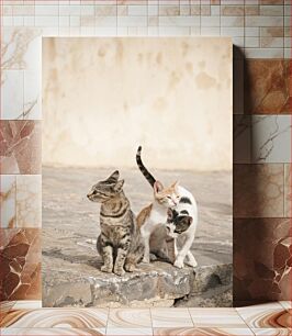 Πίνακας, Three Cats on Stone Pavement Τρεις γάτες στο πέτρινο πεζοδρόμιο