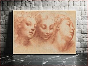Πίνακας, Three Feminine Heads (ca. 1522–1524) by Parmigianino