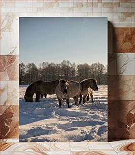 Πίνακας, Three Horses in the Snow Τρία άλογα στο χιόνι