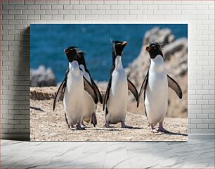 Πίνακας, Three Penguins by the Sea Τρεις πιγκουίνοι δίπλα στη θάλασσα
