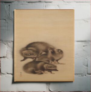 Πίνακας, Three raccoon dogs with fuzzy fur; bottom animal is scratching; middle animal is seated, snarling; top animal is standing