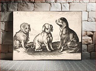 Πίνακας, Three small dogs by Jacob Matham