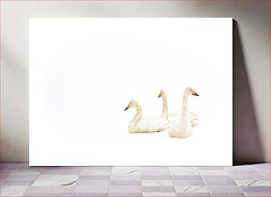 Πίνακας, Three Swans in Snow Τρεις Κύκνοι στο Χιόνι