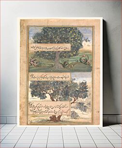 Πίνακας, "Three Trees of India", Folio from a Baburnama (Autobiography of Babur)