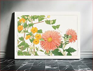 Πίνακας, Thunbergia & aster flower, Japanese woodblock art