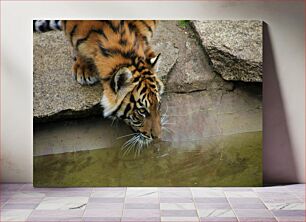 Πίνακας, Tiger Drinking Water Tiger Πόσιμο Νερό