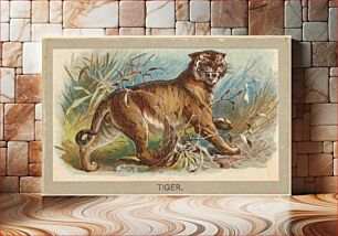 Πίνακας, Tiger, from the Animals of the World series (T180), issued by Abdul Cigarettes