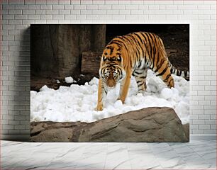 Πίνακας, Tiger in Snow Τίγρης στο χιόνι