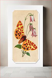 Πίνακας, Tiger Moth card from the Butterflies and Moths of America series (1862–69), vintage butterfly illustration
