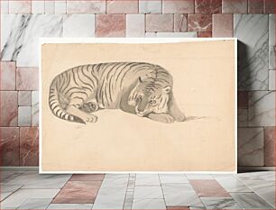 Πίνακας, [Tiger, possibly a sketch for Schinz]