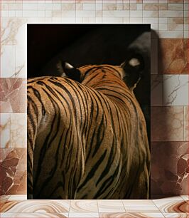 Πίνακας, Tiger Stripes Close-Up Κοντινό πλάνο Tiger Stripes