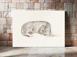 Πίνακας, Tiger, vintage animal illustration