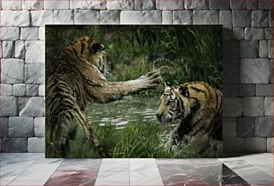 Πίνακας, Tigers in Playful Combat Τίγρεις σε παιχνιδιάρικη μάχη