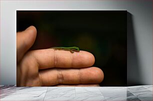 Πίνακας, Tiny Green Lizard on Finger Μικροσκοπική Πράσινη Σαύρα στο Δάχτυλο