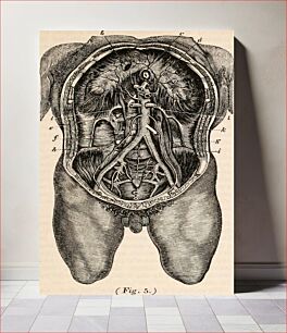 Πίνακας, Title: The cyclopædia of anatomy and physiologyIdentifier: cyclopdiaofana01todd (find matches)Year: 1836 (1830s)Authors: Todd, Robert Bentley, 1809-1860Subjects: Anatomy; Physiology; ZoologyPublisher: London, Sh