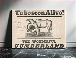 Πίνακας, To be seen alive! [graphic] : the wonderful Cumberland