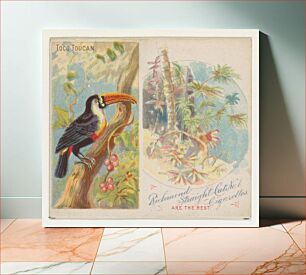 Πίνακας, Toco Toucan, from Birds of the Tropics series (N38) for Allen & Ginter Cigarettes issued by Allen & Ginter, George S. Harris & Sons (lithographer)