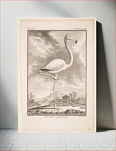 Πίνακας, tom. VIII. pl. XXXIX. pag. 498; black and white; birds (flamingo)